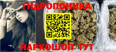 хмурый Сланцы