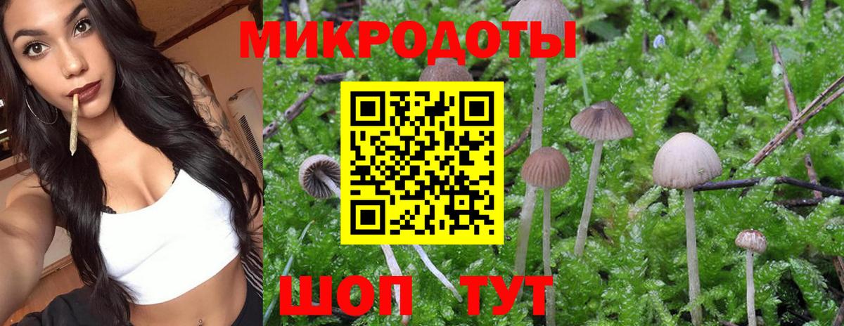 Свободный  Галлюциногенные грибы Cubensis  Вход с VPN 
